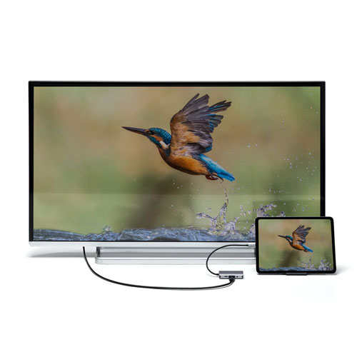 サンワサプライ USB Type C-HDMI/VGA変換アダプタ(4K/30Hz/PD対応) AD-ALCHV02 | パソコン 周辺機器 関連：コンセント 充電器 延長 タイプ メモリー アダプタ ハブ 容量 ケーブル 充電 変換 type usbメモリ