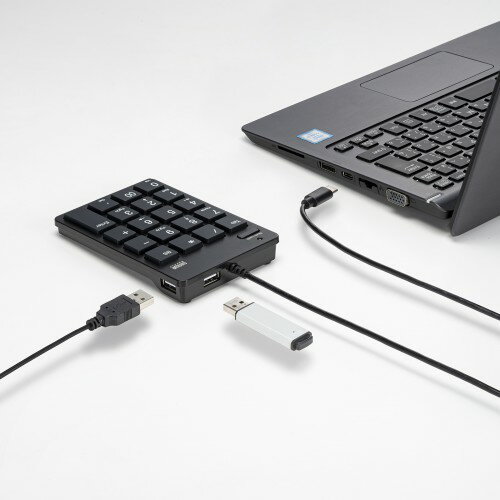 サンワサプライ USBテンキー NT-18CUHBK | PC スマホ 機器 関連：アダプタ 延長 ケーブル タイプ 充電 メモリー usbメモリ ハブ コンセント 変換 充電器 容量 type