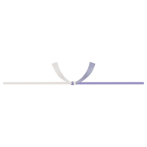 のし紙 A3判 蓮柄なし 京(100枚入) 22459316 | ポストカード 紙 関連単語 ハガキ a3 a2 アート セット 保存 用紙 無地 額縁 耐水 カーボン 再生 光沢 のし ギフト 飾る おしゃれ 収納 北欧 セット 秋 花 フレーム 壁掛け 絵はがき a4