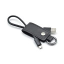 パソコン パーツ 部品 LAN スタンド 情報 マウス スマートフォン OA機器 周辺 スマホ デジタル関連 | 10個セット 日本トラストテクノロジー キーケース型microUSBケーブル ブラック KCMU-BKX10(2)