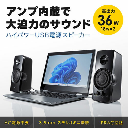 TY-HR3-S(シルバー) AM/FMホームラジオ