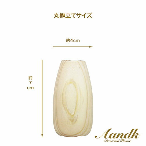 A&K 金の榊ミニS 丸榊立てセット SR-002 ジャンル（日用品雑貨 仏壇 仏具 手芸 文房具 神具）