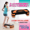 後藤 アクティブ ステップ3 スリー 870330 関連(おすすめ 送料無料 グッズ 商品 用品 人気 簡単 快適 ユニーク おもしろ)(4)