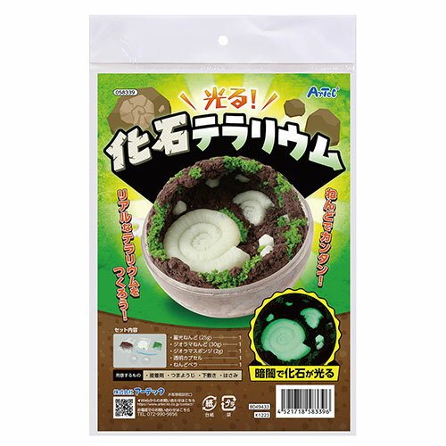 【5セット】 ARTEC 化石テラリウム ATC58339X5 キッズ 幼稚園 小学校 幼児 赤ちゃん | 関連単語 虫トランプ 子供 理科 栽培 菜園 キット セット どうぶつ パズル お風呂 運動会 発表会 イベント 知育 玩具 けん玉 スタンプ 練習 点灯 自動ライト 留め具 傘立て