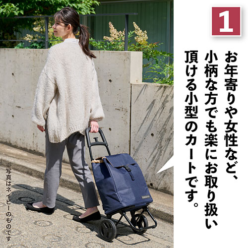 レップ 誰でもらくらく使える小型カート ココロスモールネオ カートS ブラック REP-558539 | バンド マグネット ジョイント モール 接続 配線 モール 関連単語 デズミ 出ズミ イリズミ 入ズミ カバー 電気 隠し 周辺機器 アクセサリー アイディア 便利 アイデア商品