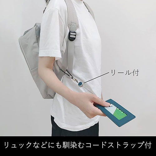 レイメイ藤井 タイニスト リール付パスケース ミストブルー NP1075A