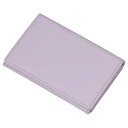 レイメイ藤井 タイニスト 名刺入れ ライトモーヴ NN1078V 文具 備品| 関連単語 セット シャープペン 絵の具 スマッシュ オレンズ ネロエナージェル 水彩 色 クレヨン 筆 ペンケリー えんぴつ オフィス 事務 用品 学用品 筆記 名刺 手帳 カッター テープフ ァイル(4)