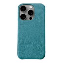 ABBI SIGNATURE シュランケンカーフ MagSafe対応バックカバー for iPhone 16 Pro Max セルリアンブルー ABS27306i16PM PC パソコン スマホ タブレット | 関連単語 カード クーラー cpu ハブ キーボード テンキー 機器 ネット スマートフォン 携帯電話 アクセサリー