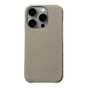 ABBI SIGNATURE シュランケンカーフ MagSafe対応バックカバー for iPhone 16 Pro Max グレージュ ABS27310i16PM PC パソコン スマホ タブレット | 関連単語 ケーブル メディア プレーヤー sd カード クーラー cpu ハブ キーボード テンキー 機器 ネット