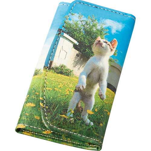 立ち猫 希望の立ち猫 キーケース 6×2×10cm C6042559 文具 備品| 関連単語 ビジネス鉛筆 ペン 絵具 セット シャープペン アート 絵の具 スマッシュ オレンズ ネロエナージェル 水彩 色 クレヨン 筆 ペンケリー えんぴつ オフィス 事務 用品 学用品 筆記 名刺