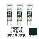 【15本セット】 ターナー色彩 アクリルガッシュ ジャパネスクカラーシリーズ 20ml 348くろみどり TURNER108515X5 文具 備品| 関連単語 筆記 名刺 手帳 カッター テープフ ァイル 封筒 はさみ ビジネス鉛筆 ペン 絵具 セット シャープペン 絵の具 スマッシュ(3)