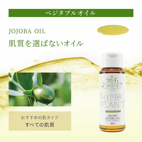 日本香堂 夢の夢 夏夜の香(蝶々) スティック12本入 38537