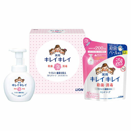 ライオン キレイキレイ泡ハンドソープセット キレイキレイ薬用泡ハンドソープ(250ml)・薬用泡ハンドソープ詰め替え(200ml) 22538801 ライオン キレイキレイ泡ハンドソープセット キレイキレイ薬用泡ハンドソープ(250ml)・薬用泡ハンドソープ詰め替え(200ml) 22538801