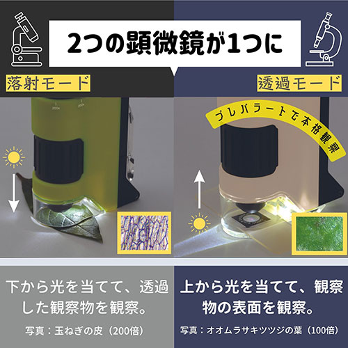 【中古】Kenko 双眼鏡 10×32 DH MS ダハプリズム式 10倍 32口径 完全防水 コンパクトボディ BN-101199