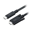 サンワサプライ USB 20Gbps Type-Cケーブル デュアルスクリューロック・240W・2m ブラック KU-20GCCPEDSL20(2)