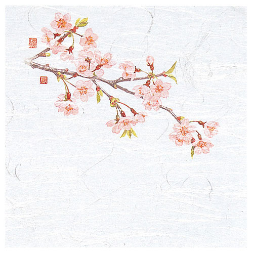 ヤマコー 用美 業務用 4寸OP懐石敷紙 桜 (100枚入) yamaco65111