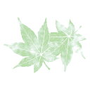 ヤマコー 用美 業務用 尺3四季彩まっと この葉型抜き 青もみじ (50枚入) yamaco66779 食器 | 関連単語 小鉢 和風 大容量 カップ おしゃれ...