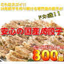 フード・ドリンク・スイーツ 【ワケあり】安心の国産餃子800個!!160人前!!