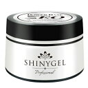SHINYGEL professional パワーベース ZEO(ゼオ)12g