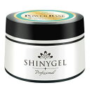 SHINYGEL professional パワーベース 12g