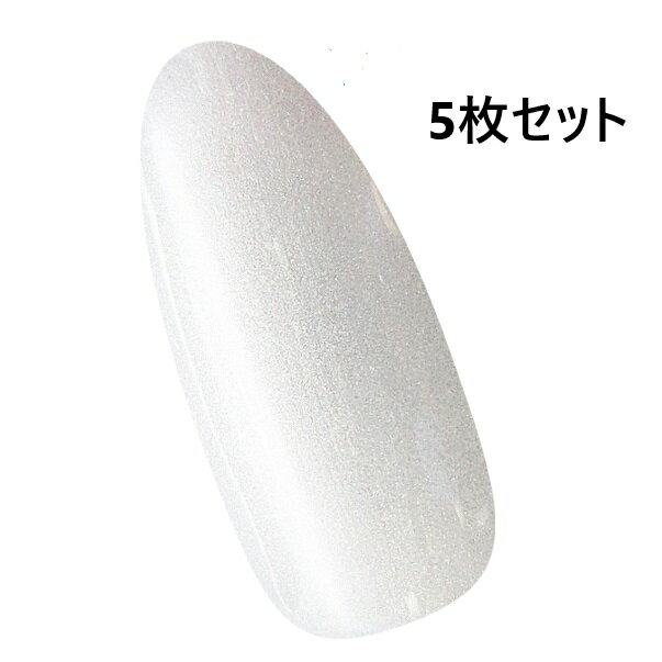 ���㥤�ˡ������� �ץ��ե��å���ʥ롡SHINYGEL professional ���顼������ 145 �ե����ƥ����ۥ磻�� 5�ĥ��å�