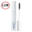 Odette オデット フェニックスアイ アイラッシュサポートジェル ライト&セパレート 12本 8ml