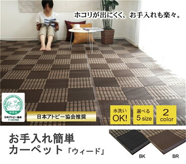 レジャーシート carpet ポリプロピレン素材 洗濯OK PPカーペット カラー：ブラック サイズ：261×261cm