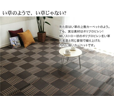 ござ マット 水洗い 洗濯OK PPカーペット カラー:ブラウン サイズ:174×174cm