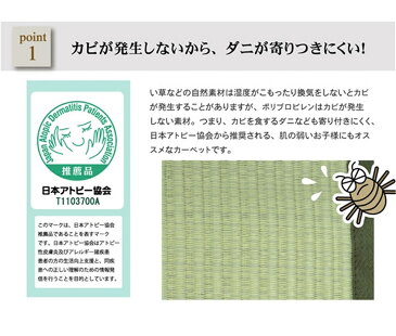敷物 ペット 水洗い 洗える PPカーペット サイズ:435×352cm