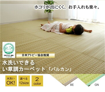 ござ carpet 水洗い 洗える PPカーペット 江戸間10畳 サイズ:約435×352cm /カラー:ベージュ