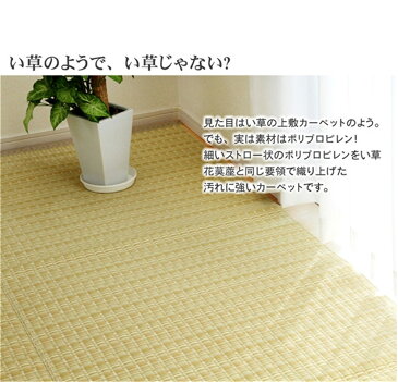 ござ carpet 水洗い 洗える PPカーペット 江戸間10畳 サイズ：約435×352cm /カラー：ベージュ