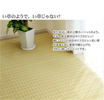 ござ carpet 水洗い 洗える PPカーペット 江戸間10畳 サイズ:約435×352cm /カラー:ベージュ