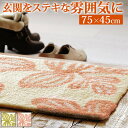 洗えるラグ スミノエ 国産 滑り止め付き 玄関マット 〔エルブ〕 75x45cm 関連(インテリア 快適 おしゃれ 機能的 エレガント 斬新 アイディアグッツ 送料無料通販グッズ商品便利父の日母の日クリスマス結婚プレゼント)