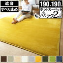ホットカーペット 厚手 防音 低反発高反発フランネルホットカーペットセット 2畳(190x190cm) 本体+カバー 正方形 2畳 二畳 低反発 高反発 フランネル 滑り止め 無地 カバー ラグ 防ダニ 洗える 電気カーペット シンプル セット ライムグリーン