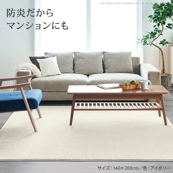 ラグ ラグカーペット 正方形 防音防炎ラグ-エイヴァ 200x200cm リビング 高級感 おしゃれ 北欧 シンプル 無地調 極細 ホットカーペット対応 オールシーズン 防音 防ダニ 防炎 すべり止め 日本製 カットオーダー 在宅 [2]