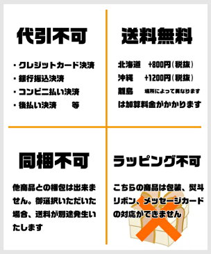 スヌーピー　ボーダーバスタオル 60枚入29712【包装・熨斗不可】【色指定不可】