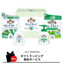 【5/10日限定 ポイント2倍】 ライオン キレイキレイ ギフトセット LBH-15P 御祝 内祝い ハンドソープ メッセージ 快気祝い 粗品 ギフト