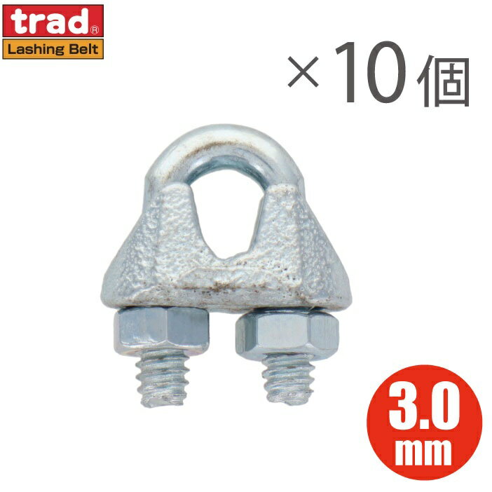 ワイヤークリップ 3mm 10個入り ワイヤーロープ 固定金具 ワイヤクリップ ロープクリップ Uボルトクリ..