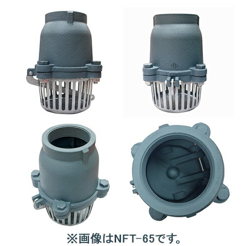 エバラポンプ 鋳鉄製 フート弁 125A フランジ形 NFT-125 荏原製作所 逆止弁 フード...