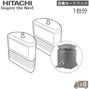 日立 井戸水 浄水器 ろ過器 井戸ポンプ用浄水器 交換カートリッジ E-25X (2個入り・1台分) 【対応機種：PE-25X PE-25W PE-25V PE-25S PE-25NS】