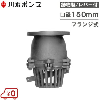 ・口径：150mm ・接続形状：フランジ式 ・液質：清水 ・液温：0〜80℃ ・鉛水質基準適合品 ・3mステンレスワイヤー付　