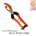サボテン 2段式 芽キズ鋏 MEBUKI改 ぶどう りんご みかん 芽傷鋏 芽傷ばさみ 芽キズばさみ 芽傷処理 発芽促進 果樹園 農園 AG-17