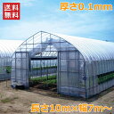 農POフィルム 厚さ0.1mm 長さ10m 幅7m ベジタロンnext スカイコート キリスカット ビニールハウス 自作 温室 ビニールトンネル 家庭菜園
