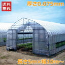 農POフィルム 厚さ0.075mm 長さ5m 幅10m ベジタロンnext スカイコート キリスカット ビニールハウス 自作 温室 ビニールトンネル 家庭菜園
