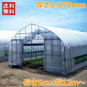 農POフィルム 厚さ0.075mm 長さ5m 幅12m ベジタロンnext スカイコート キリスカット ビニールハウス 自作 温室 ビニールトンネル 家庭菜園