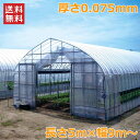 農POフィルム 厚さ0.075mm 長さ5m 幅9m ベジタロンnext スカイコート キリスカット ビニールハウス 自作 温室 ビニールトンネル 家庭菜園