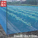 【法人様限定】防風ネット 網目2mm×2.0m×50m 風よけネット 防風網 園芸ネット 風よけ 防風 防砂 防塵 農業資材 農業用品 園芸用品 青