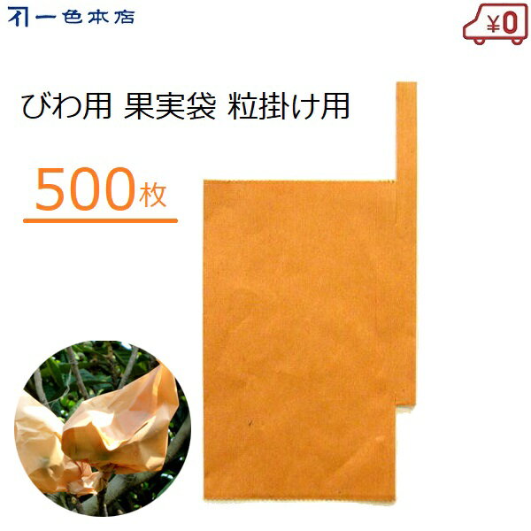 一色本店 びわ掛け袋 500枚 粒かけ 掛け袋 びわ用 果実袋 寒冷対策 害虫対策 鳥よけ 枇杷 果実掛け袋 果樹 #16 K-2