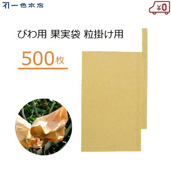 一色本店 びわ掛け袋 500枚 粒かけ 掛け袋 びわ用 果実