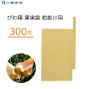 一色本店 びわ掛け袋 300枚 粒かけ 掛け袋 びわ用 果実袋 寒冷対策 害虫対策 鳥よけ 枇杷 果実掛け袋 果樹 #16 K-4